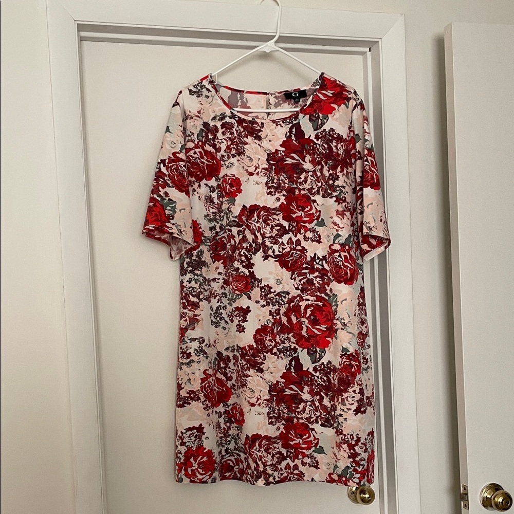 G by Giuliana Red and Cream Floral Mini Dress